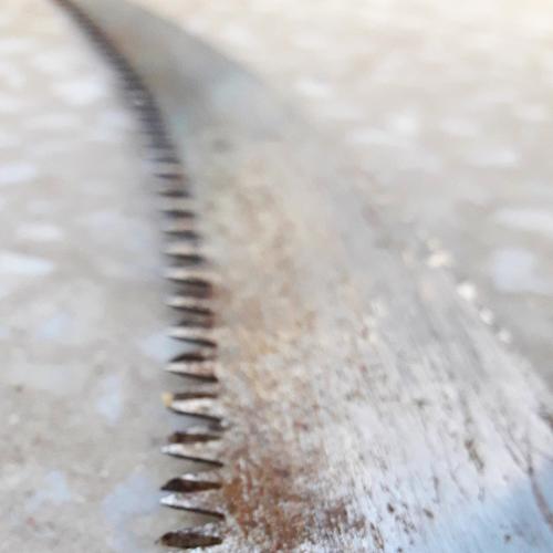 Photo #4012718