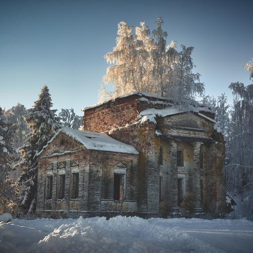 Photo #4012750