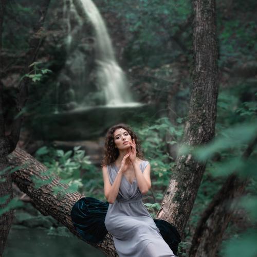 Photo #4012888