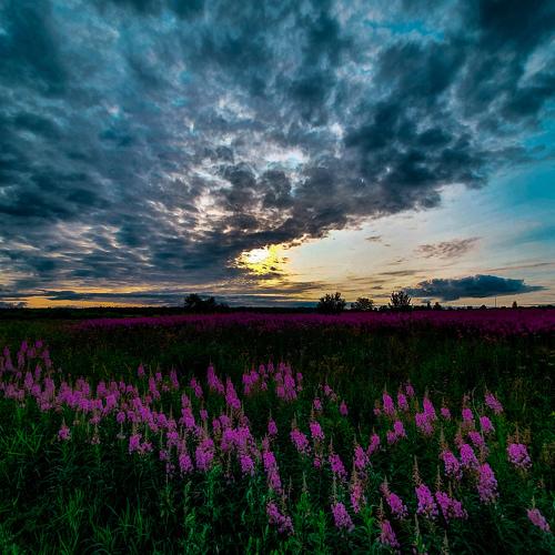 Photo #4012936