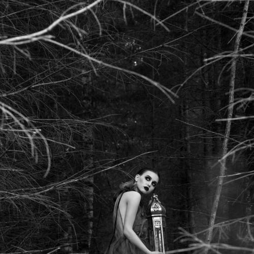 Dark forest