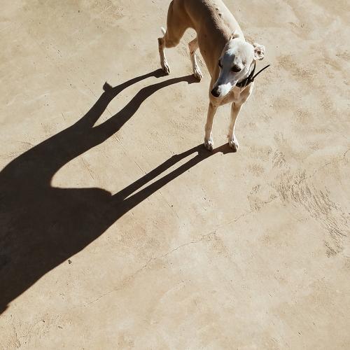 Photo #4013256