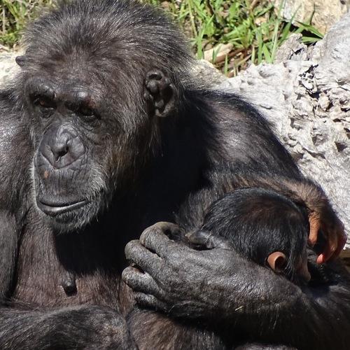 Photo #4013278
