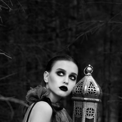 Dark forest