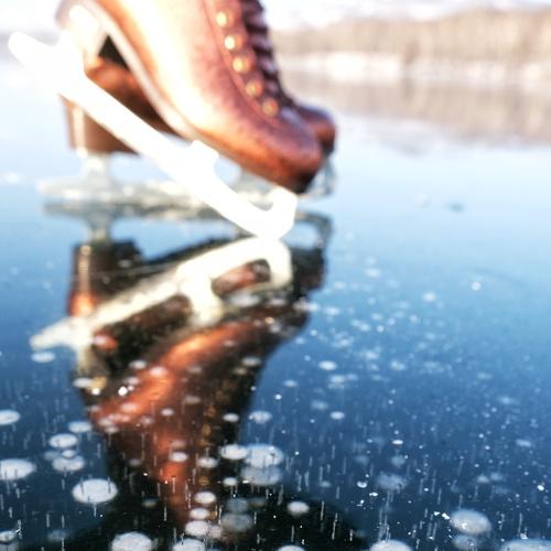 Photo #4013629