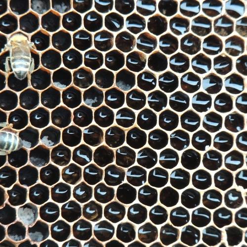 Photo #4014313