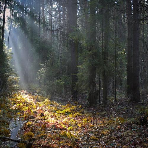 Photo #4014360