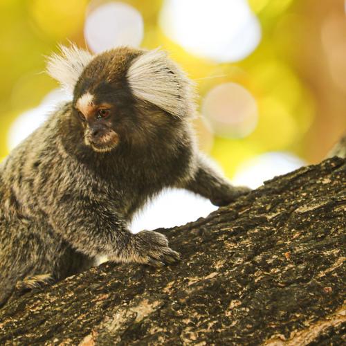 Photo #4014405