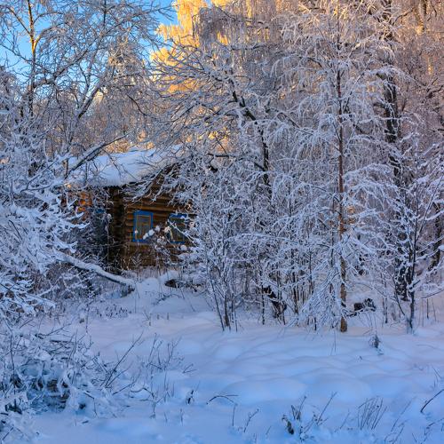Photo #4014597