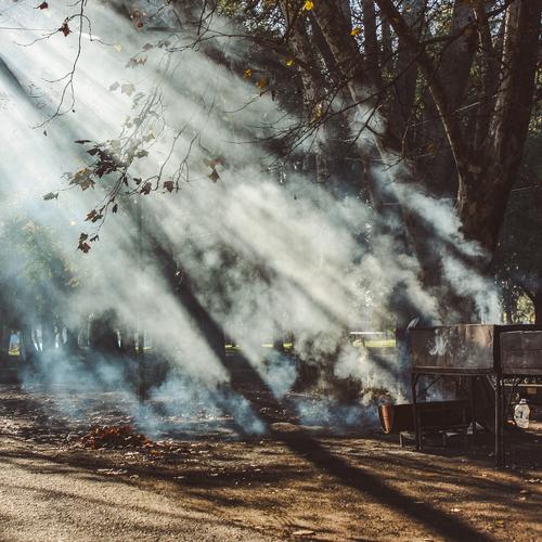 Photo #4014619