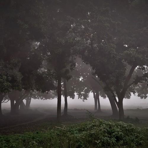 Photo #4015129