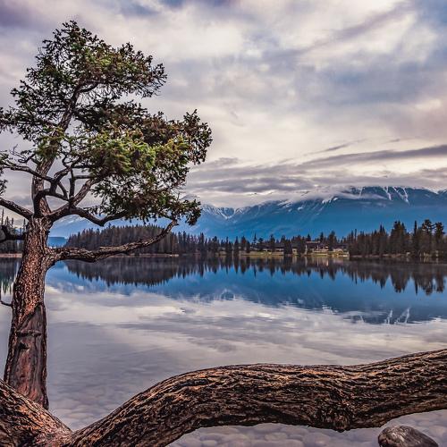 Photo #4015188
