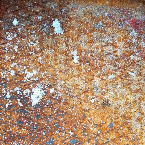 Photo #4015456