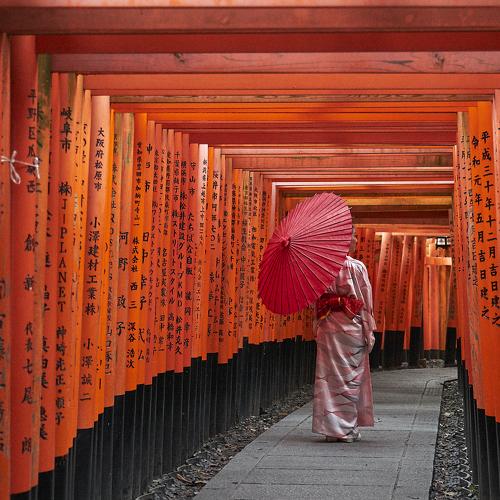Fushimi Inari Torii Pathway