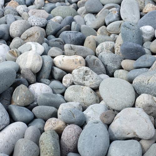 Photo #4015724