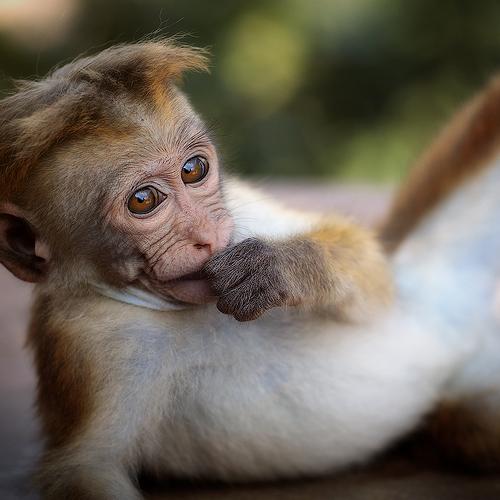 Фотография #4016028