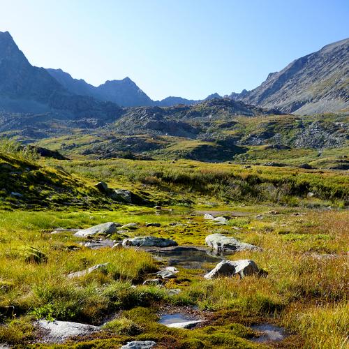 Photo #4016040