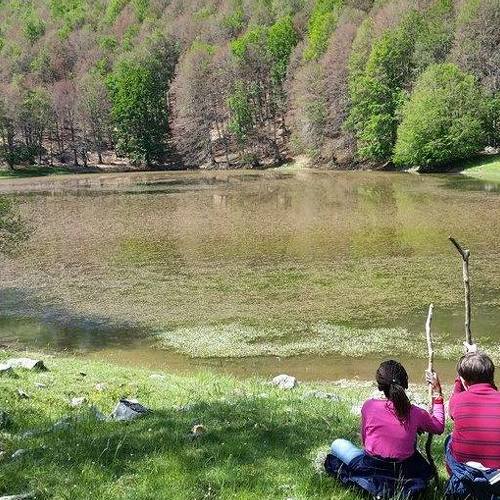 Photo #4016236