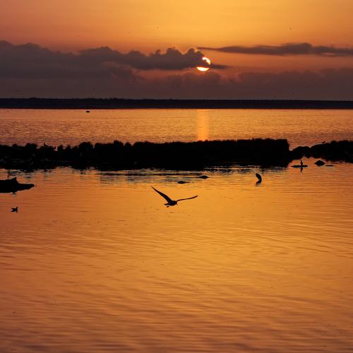 Photo #4016456