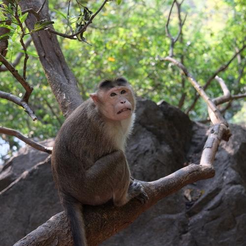 Photo #4016632