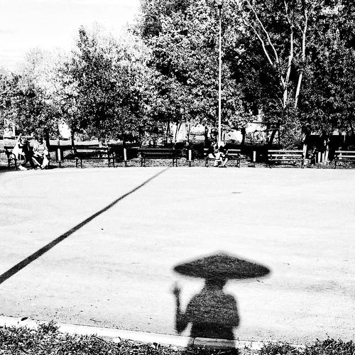 Photo #4016747