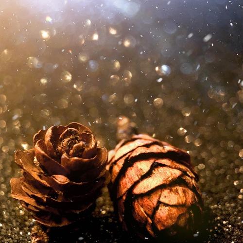 Photo #4017168