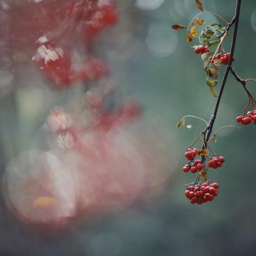 Photo #4017271