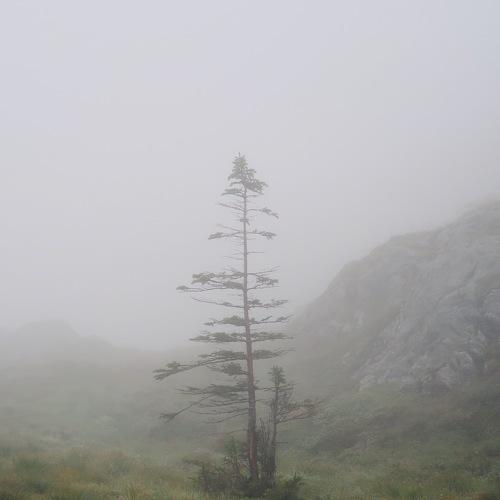 Photo #4017279