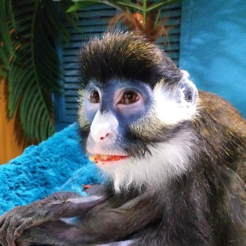 Photo #4017498