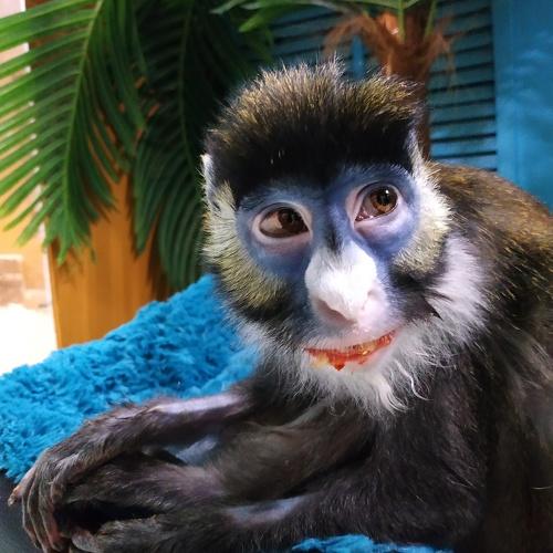 Photo #4017499