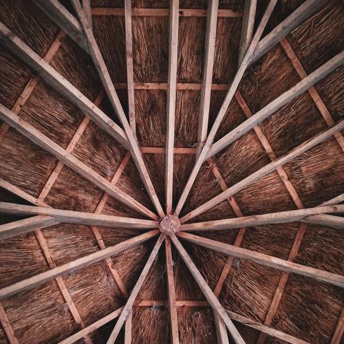 Photo #4018072