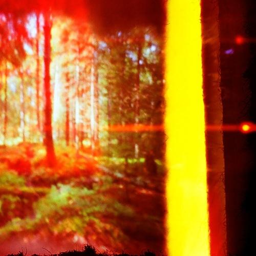 Photo #4018240