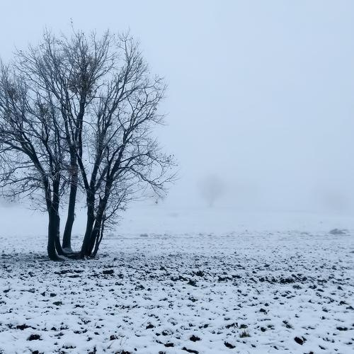 Photo #4018242