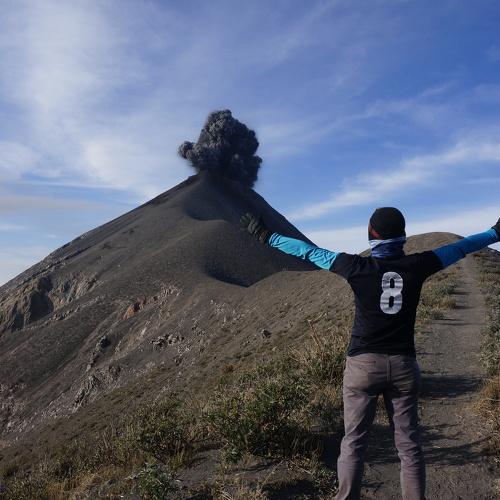 Photo #4018533