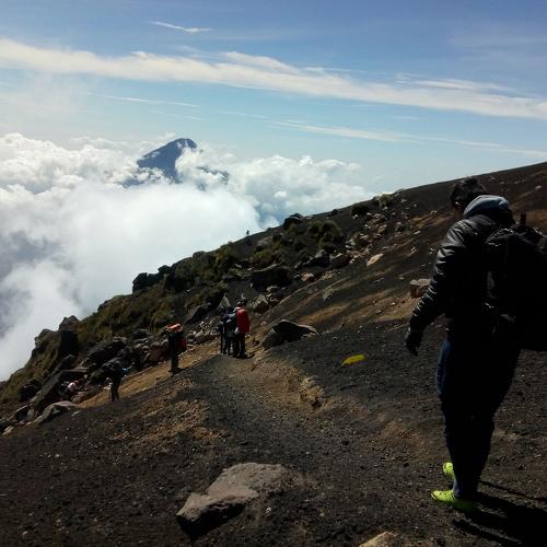 Photo #4018546