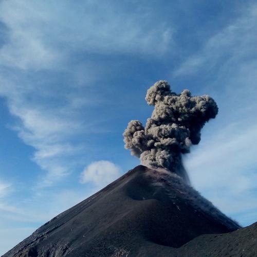 Photo #4018554