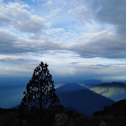 Photo #4018559