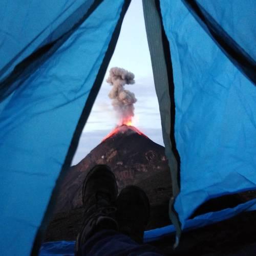 Photo #4018563