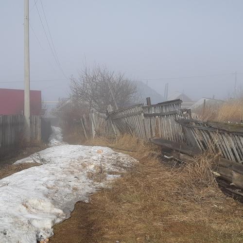 Photo #4019171