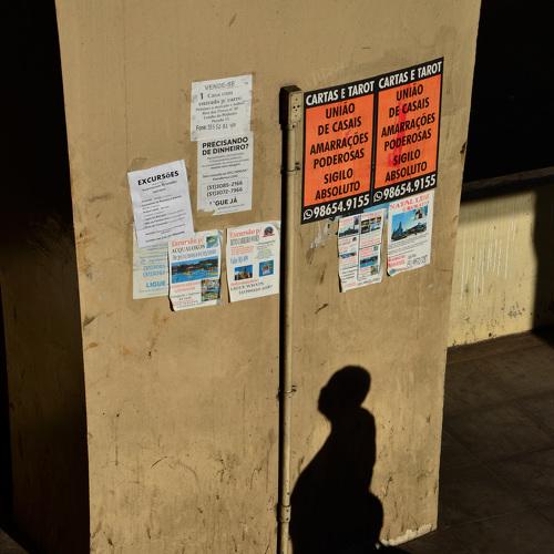 Photo #4019227