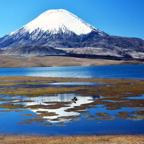 Вулкан Паринакота