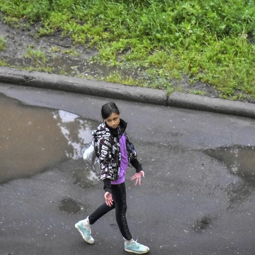 Photo #4019748