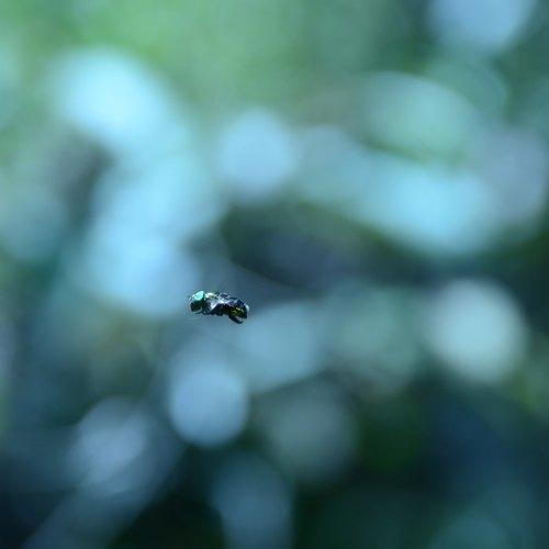 Photo #4019871