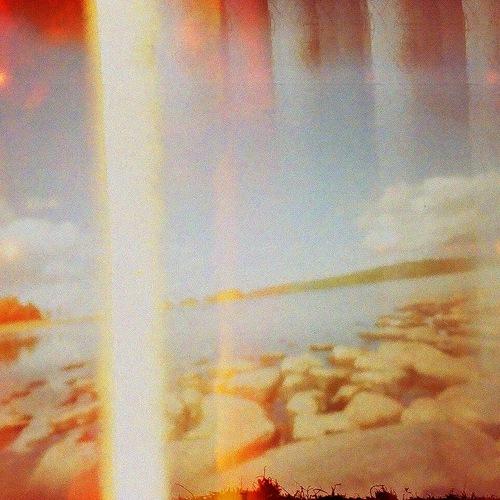 Photo #4020287