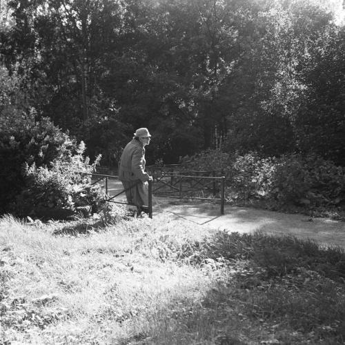 Photo #4020300