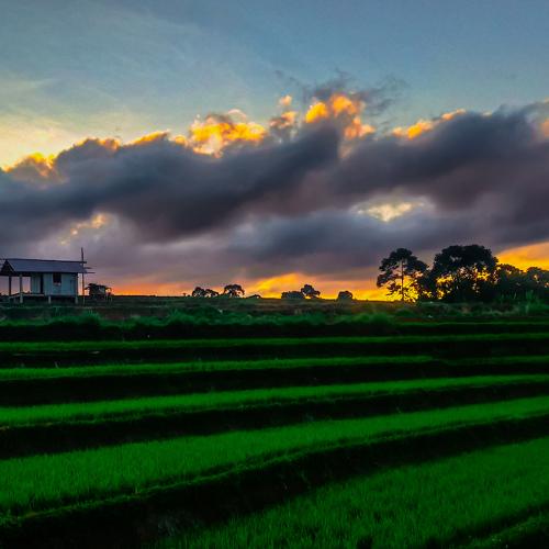 Photo #4020343