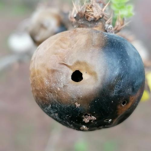 Photo #4020666