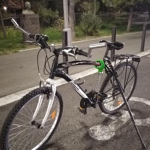Photo #4020912