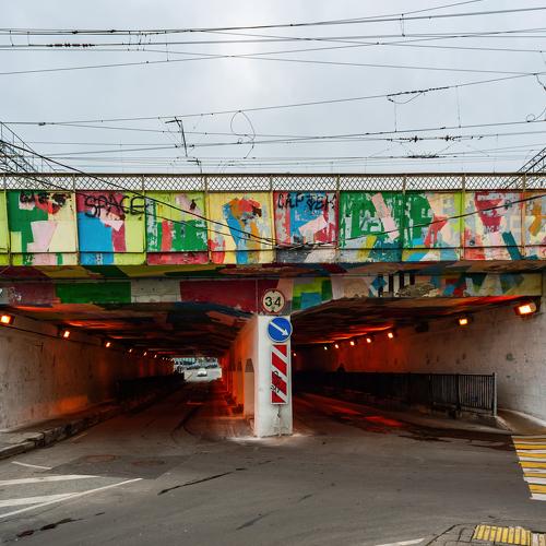Photo #4021423