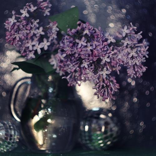 Photo #4022176
